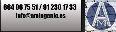 664 06 75 51 / 91 230 17 33 info@amingenio.es