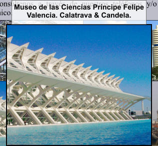 Museo de las Ciencias Príncipe Felipe Valencia. Calatrava & Candela.